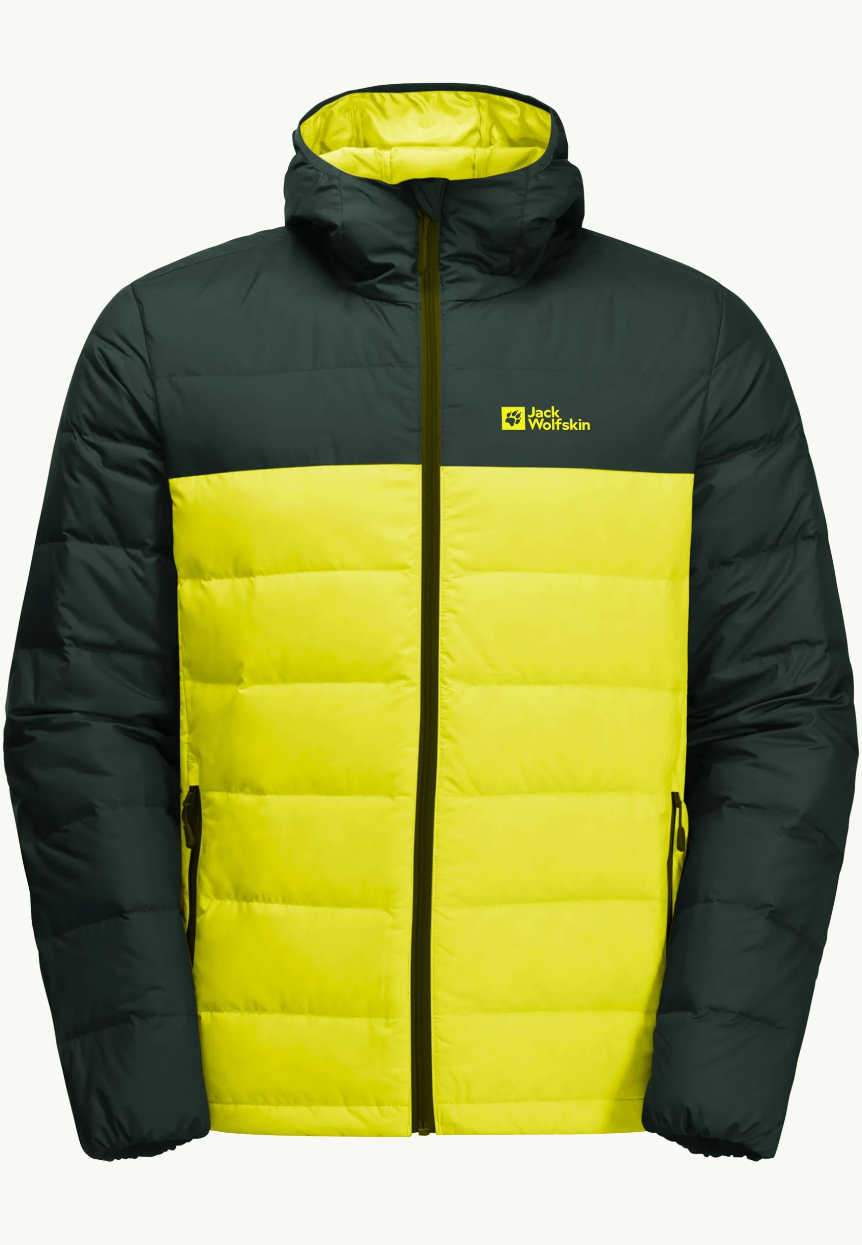 Ather Down Hoody M Rds