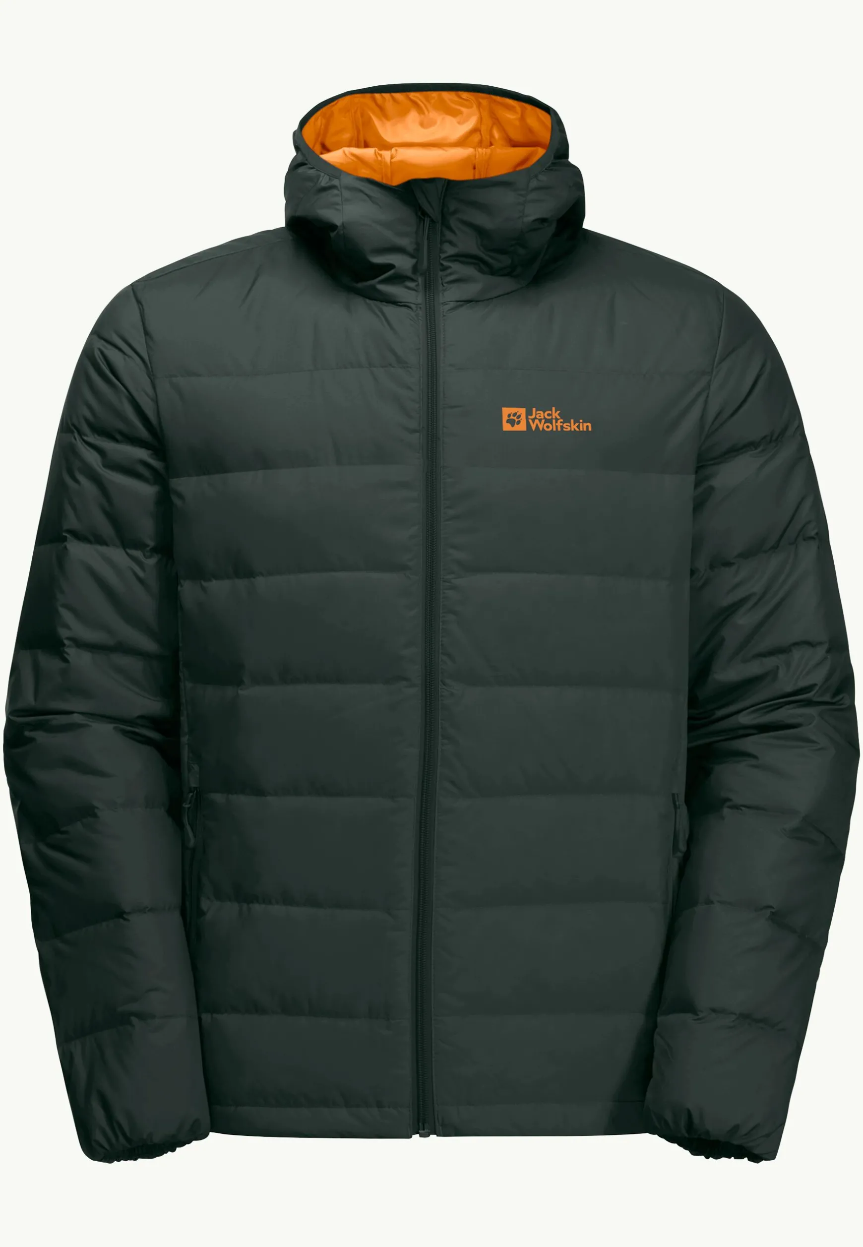 Ather Down Hoody M Rds