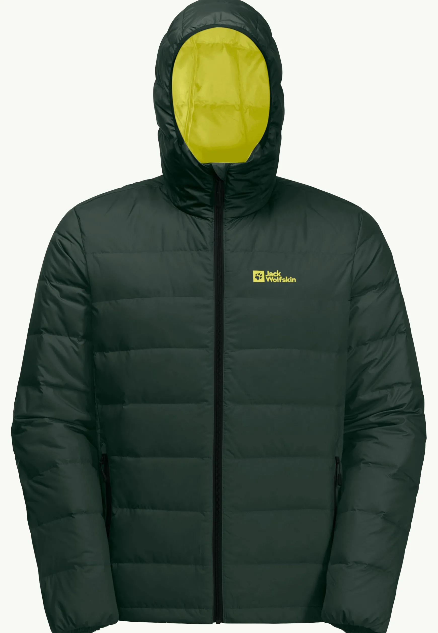 Ather Down Hoody M Rds