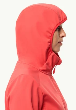 Bornberg Hoody W