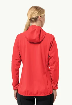 Feldberg Hoody W