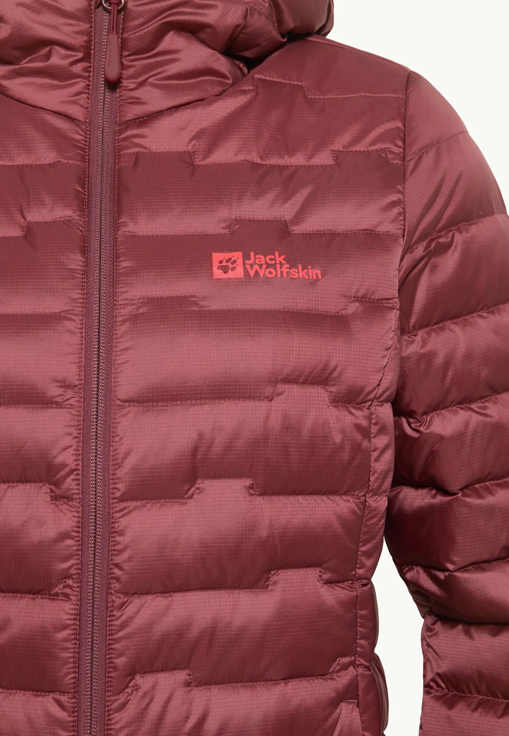 Passamani Down Hoody W Rds