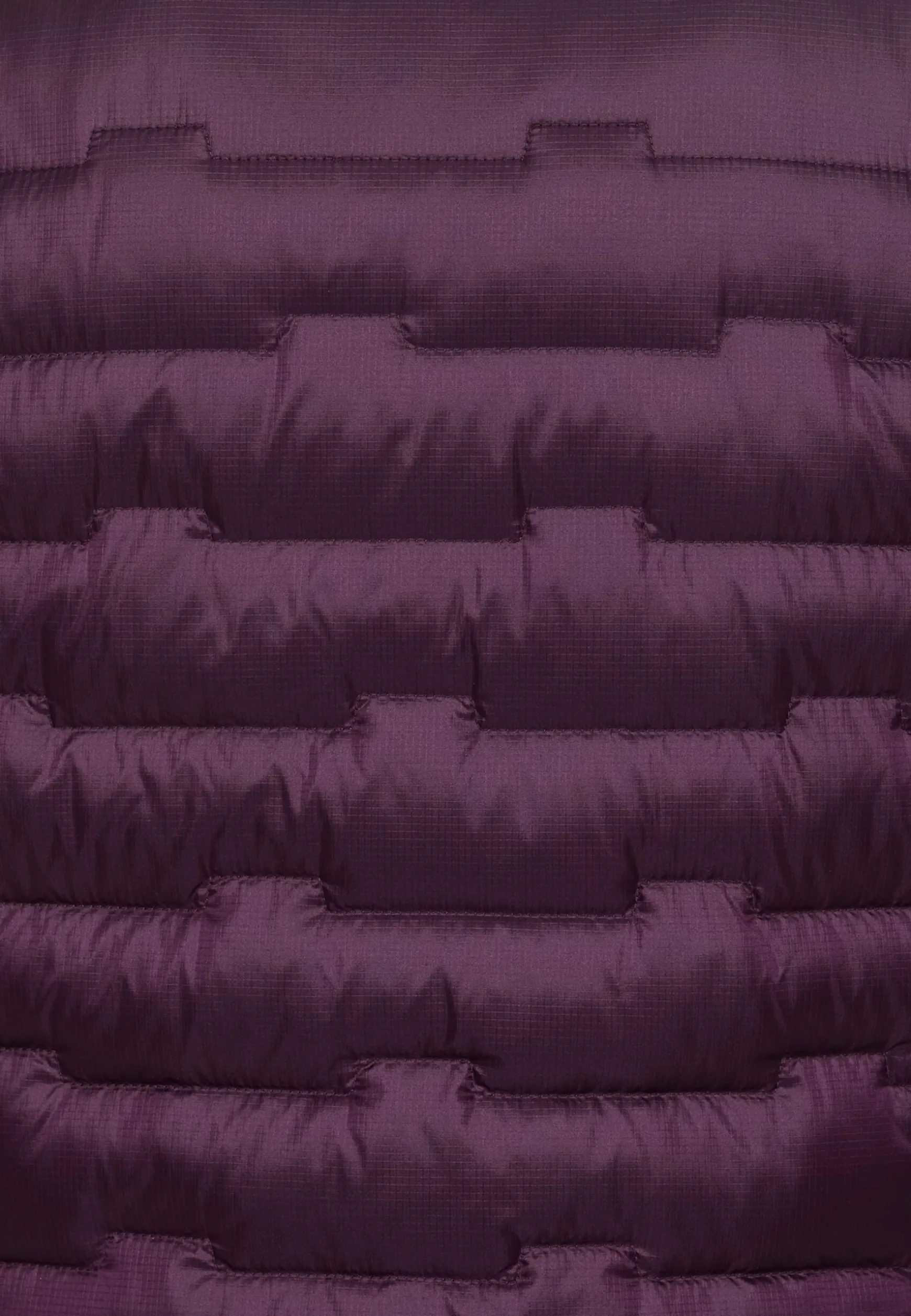 Passamani Down Hoody W Rds